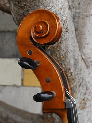 Calin Wultur Model #5 Guarneri 4/4 Cello - Used