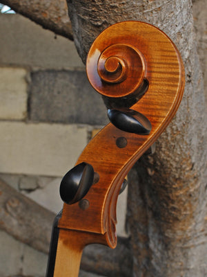 Vivo Special Eurowoods 4/4 Cello