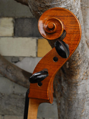 Calin Wultur #6 Piatti Strad 4/4 Cello