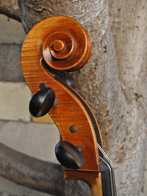 Vivo Special Eurowoods 4/4 Cello