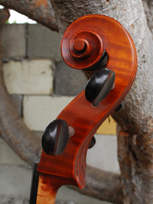 C.L. Wynn 520 'Gofriller' - 4/4 Cello