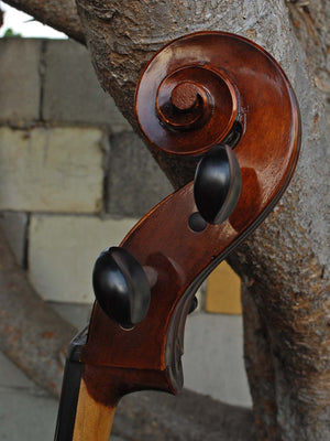 Eastman model 305 7/8 Cello