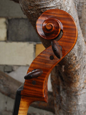 Tadeusz Slipek Master 'Jacobs' 4/4 Cello (smaller)