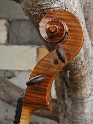 Tadeusz Slipek Master 'Jacobs' 4/4 Cello (smaller)