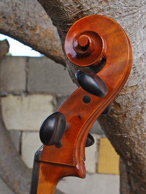 Angel Taylor model 420 3/4 Cello