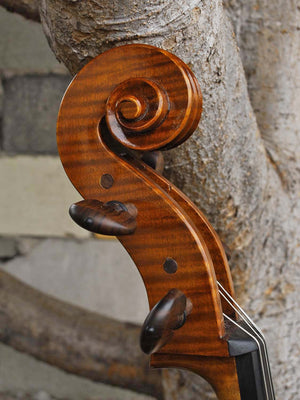 Tadeusz Slipek Master 'Jacobs' 4/4 Cello (smaller)