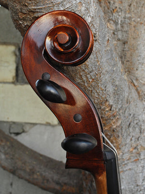 Eastman model 305 7/8 Cello