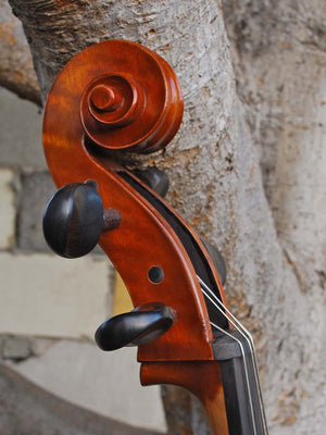 Angel Taylor model 420 3/4 Cello