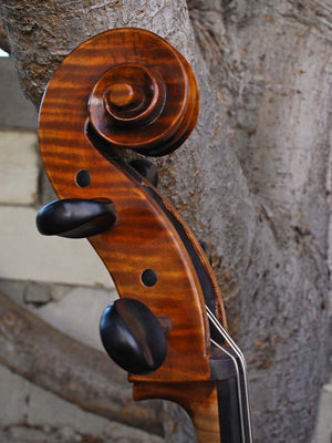 C.L. Wynn 520 'Rogeri' 4/4 Cello