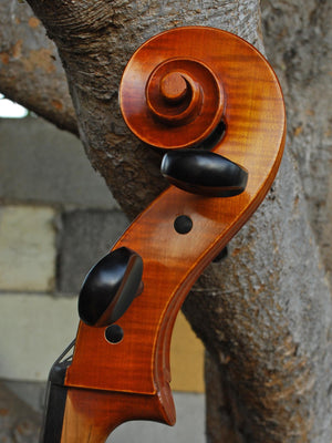 Angel Taylor model 420 7/8 Cello