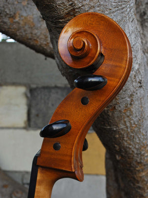 Calin Wultur Model #5 Piatti Strad 4/4 Cello (2)