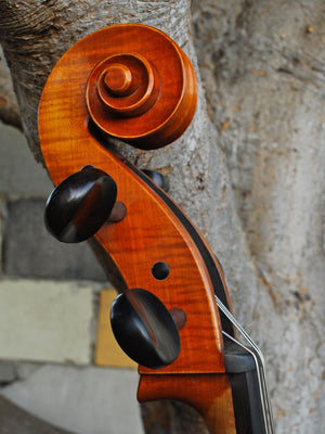 Angel Taylor model 420 7/8 Cello