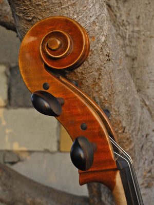 Vivo Limited 4/4 Cello