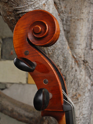 C.L. Wynn 520 'Rogeri' 4/4 Cello
