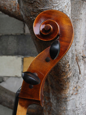 Vivo Guadagnini 1777 Replica 4/4 Cello (A)