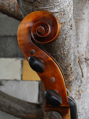 Vivo Guadagnini 1777 Replica 4/4 Cello (A)