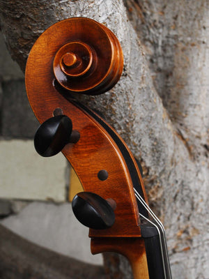 Vivo Guadagnini 1777 Replica 4/4 Cello (B)