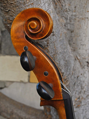 Antonio Fiorini 650 'Strad' 4/4 Cello