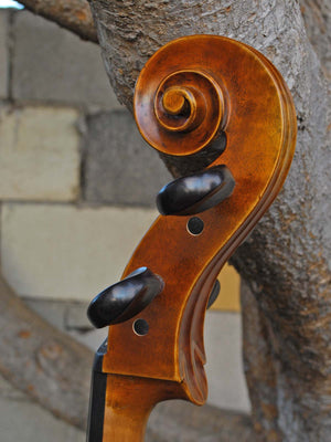 Antonio Fiorini 650 'Strad' 4/4 Cello