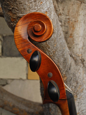 Angel Taylor model 320 7/8 Cello