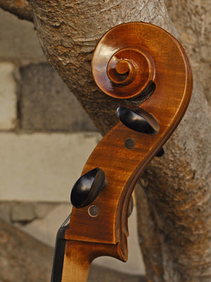 Vivo Guadagnini 1777 Replica 4/4 Cello (2025)