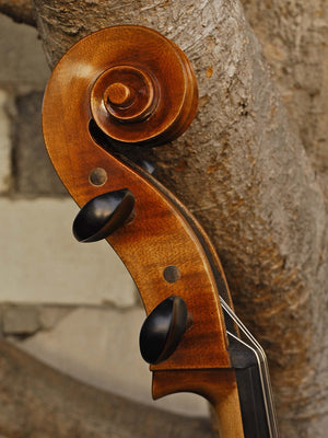 Vivo Guadagnini 1777 Replica 4/4 Cello (2025)