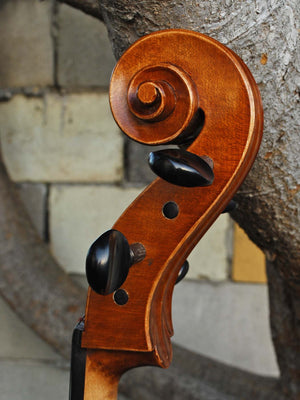 Calin Wultur Model #6 Piatti Strad 4/4 Cello