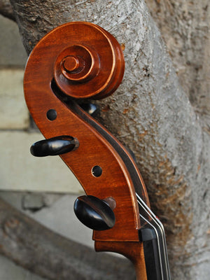 Calin Wultur Model #6 Piatti Strad 4/4 Cello