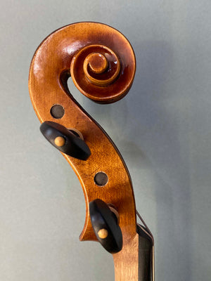 Vivo Zetoni 100 Violin 4/4 Violin