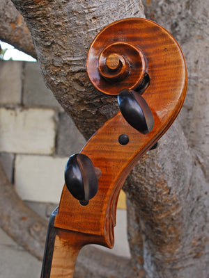 C.L. Wynn 520 'Rogeri' 4/4 Cello