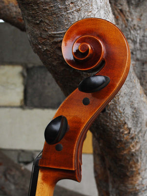 Vivo Guadagnini 1777 Replica 4/4 Cello (B)