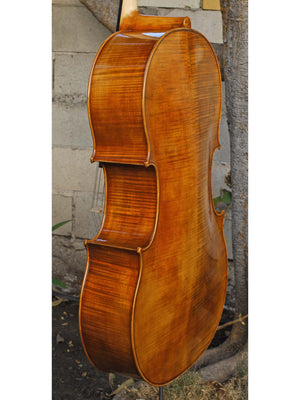 Vivo Special Eurowoods 4/4 Cello