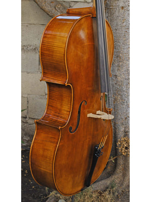 Vivo Special Eurowoods 4/4 Cello