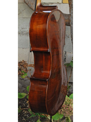 Eastman model 305 7/8 Cello