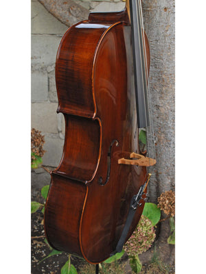 Eastman model 305 7/8 Cello