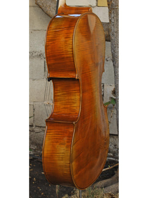 Vivo Limited 4/4 Cello