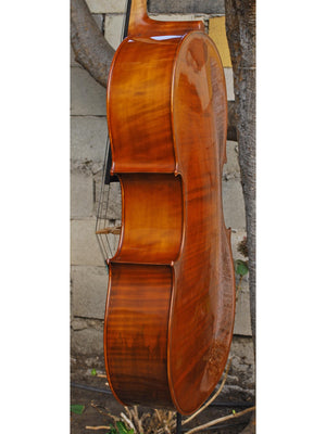 Angel Taylor model 420 3/4 Cello