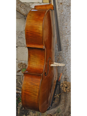 Vivo Limited 4/4 Cello