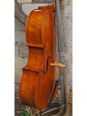 Angel Taylor model 420 3/4 Cello