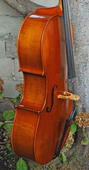 Angel Taylor model 420 7/8 Cello