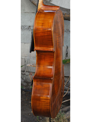 Calin Wultur Model #5 Piatti Strad 4/4 Cello (2)