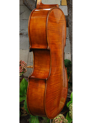 Eastman model 830 7/8 Cello