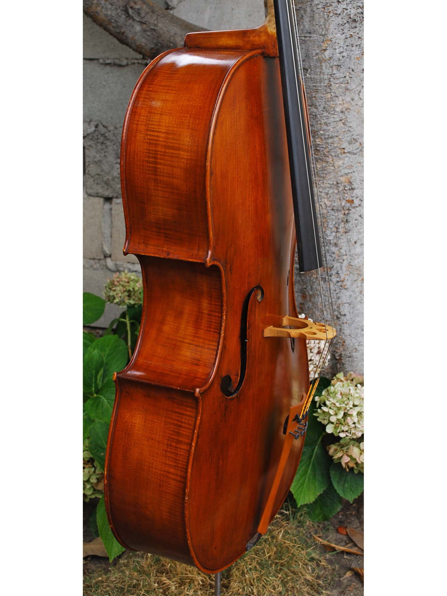 Gyorgy Baranyai 4/4 Cello