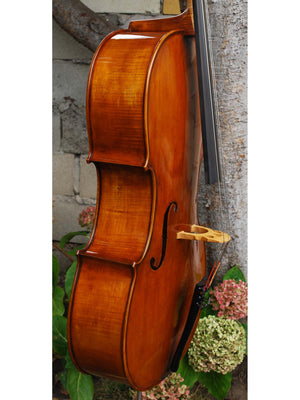 Eastman model 830 7/8 Cello