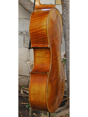 Antonio Fiorini 650 'Strad' 4/4 Cello