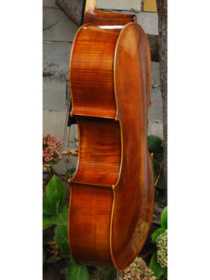 Vivo Guadagnini 1777 Replica 4/4 Cello (B)