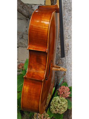 Vivo Guadagnini 1777 Replica 4/4 Cello (B)