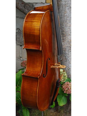 Vivo Guadagnini 1777 Replica 4/4 Cello (A)