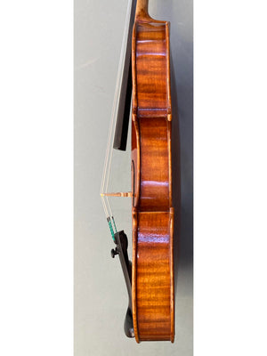 Vivo Zetoni 200 Violin 4/4 Violin