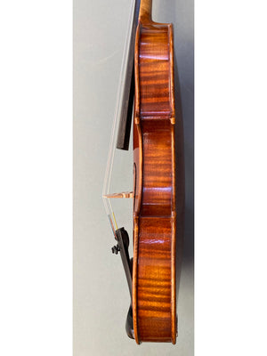 Vivo Zetoni 200 Violin 4/4 Violin